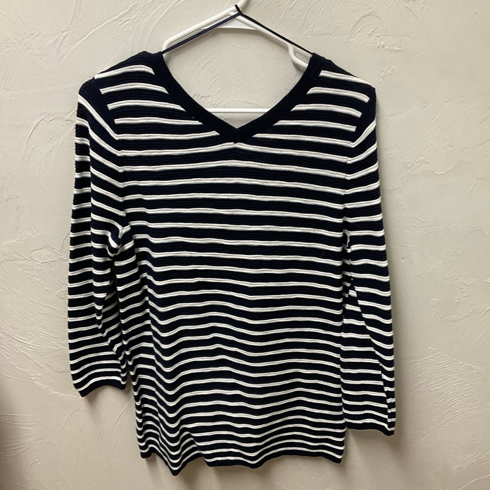 NWT Loft Outlet Blue & White Stripped V- Neck Sweater